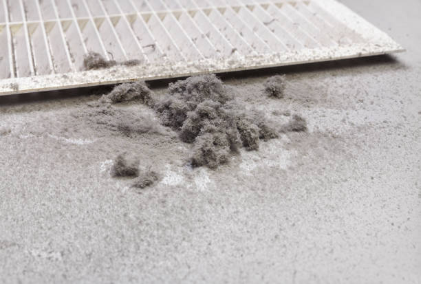 Best Ductwork Cleaning Services  in Jonesborough, TN