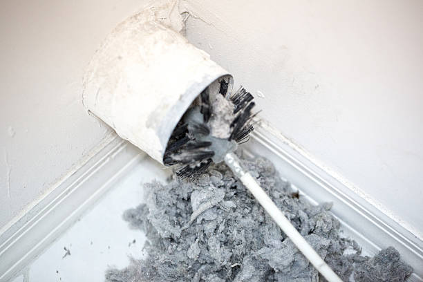 Air Duct Mold Removal in Jonesborough, TN
